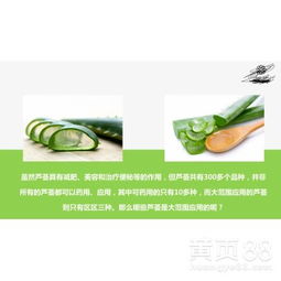 【廣州戈藍生物科技蘆薈補水鮮汁嫩膚系列產品】-