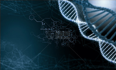 DNA分子高科技DNA分子的生物化學背景